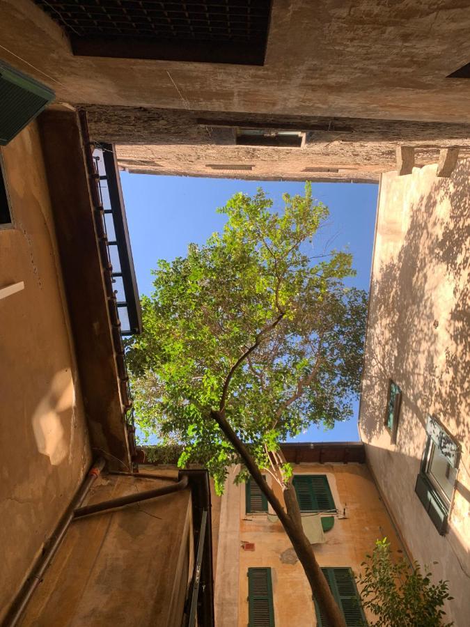 Navona Apartment Roma Eksteriør bilde